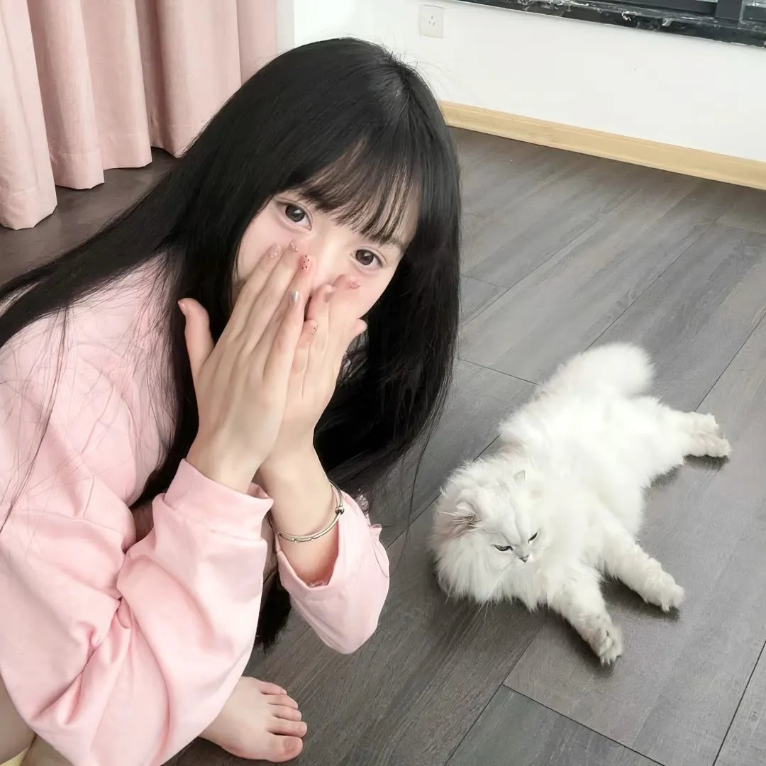 极北以北 在线观看
